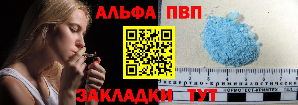 Альфа ПВП СК КРИС Кизилюрт