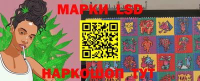 индика Краснознаменск