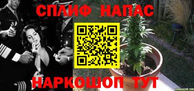 индика Краснознаменск