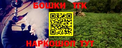 индика Краснознаменск
