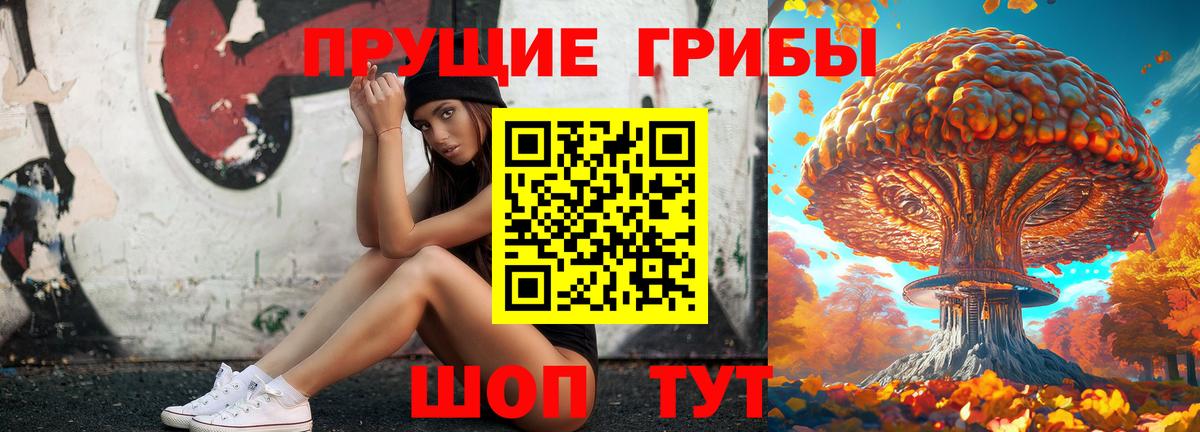 Псилоцибиновые грибы Psilocybine cubensis  что такое   Кизилюрт  Вход с VPN 