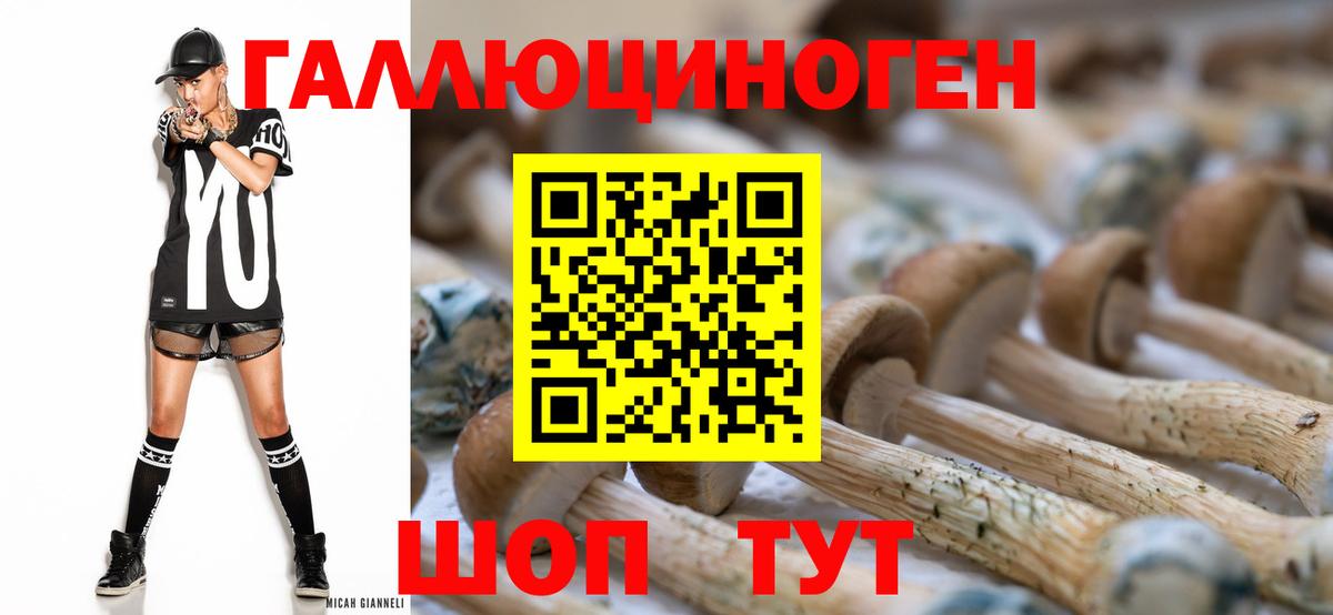 Галлюциногенные грибы Cubensis Кизилюрт